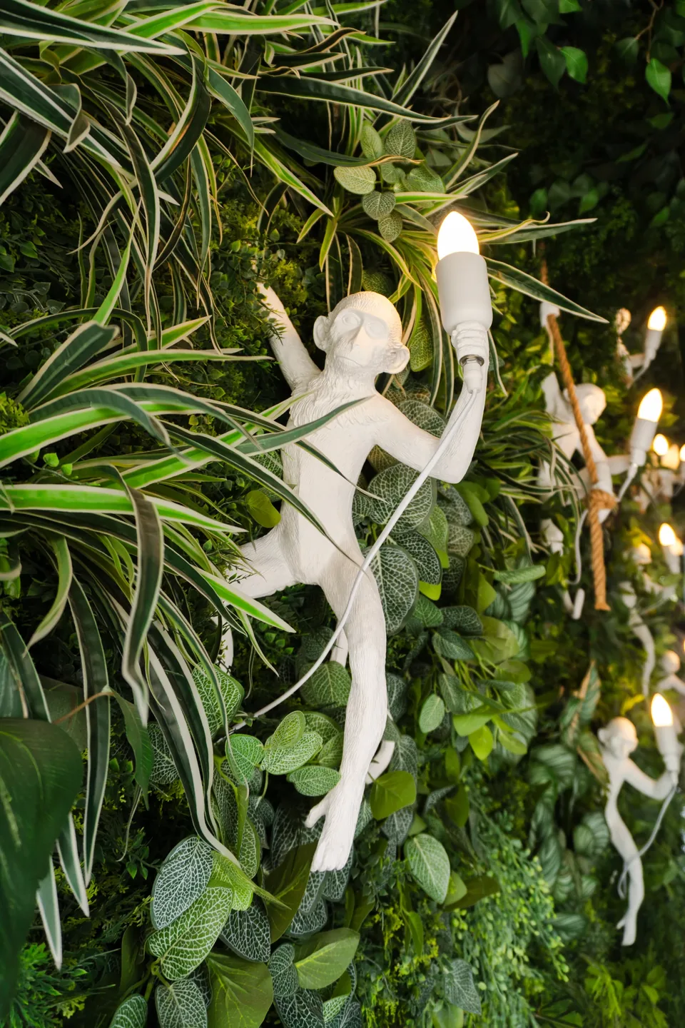 Ambiente del espacio de San Luis El Jardinet
